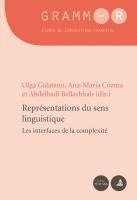Dan Van Raemdonck, Olga Galatanu, Ana-Maria Cozma, Abdelhadi Bellachhab - Représentations Du Sens Linguistique, Häftad