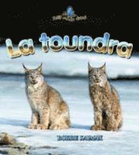 Kelley MacAulay - La Toundra (Tundra Food Chains), Häftad