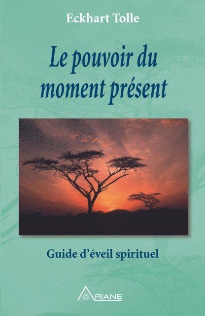 Tolle Eckhart Tolle - Le pouvoir du moment présent, E-bok
