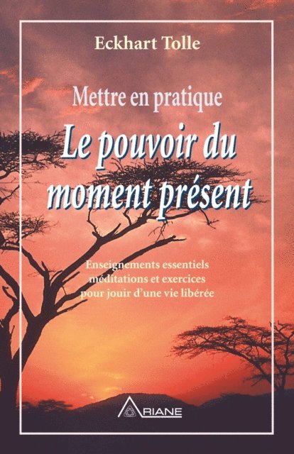 Tolle Eckhart Tolle - Mettre en pratique Le pouvoir du moment présent, E-bok