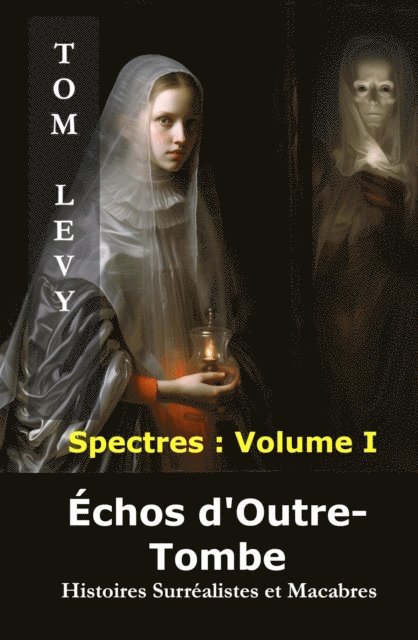 TOM LEVY - Échos d'Outre-Tombe, E-bok