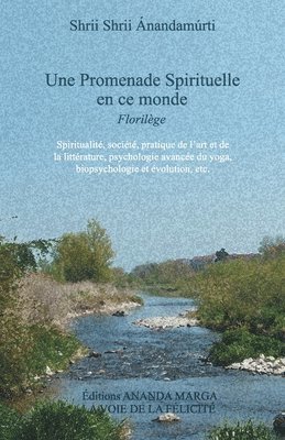 Shrii Shrii Anandamurti, Prabhat Ranjan Sarkar - Promenade spirituelle en ce monde, Häftad