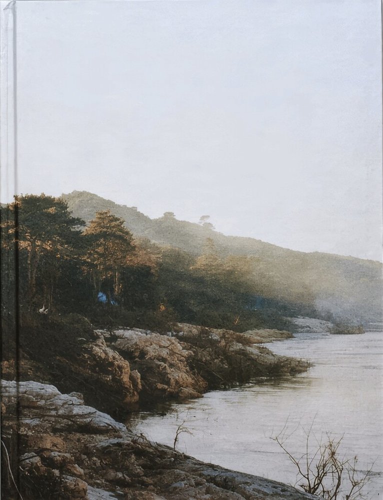 François Deladerrière - Delta, Inbunden
