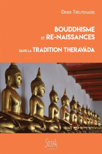 Didier Treutenaere - Bouddhisme et re-naissances dans la tradition Theravada, E-bok