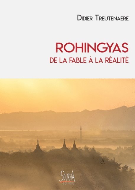 Didier Treutenaere - Rohingyas, de la fable à la réalité, E-bok