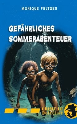 Monique Feltgen - Gefährliches Sommerabenteuer, Häftad