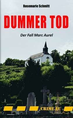 Rosemarie Schmitt - Dummer Tod, Häftad
