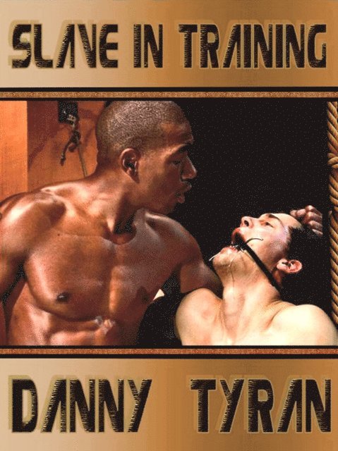 Slave in Training