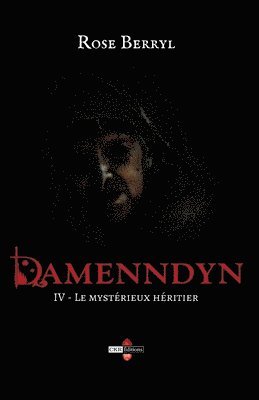 Rose Berryl - Damenndyn - Le mystérieux héritier, Häftad