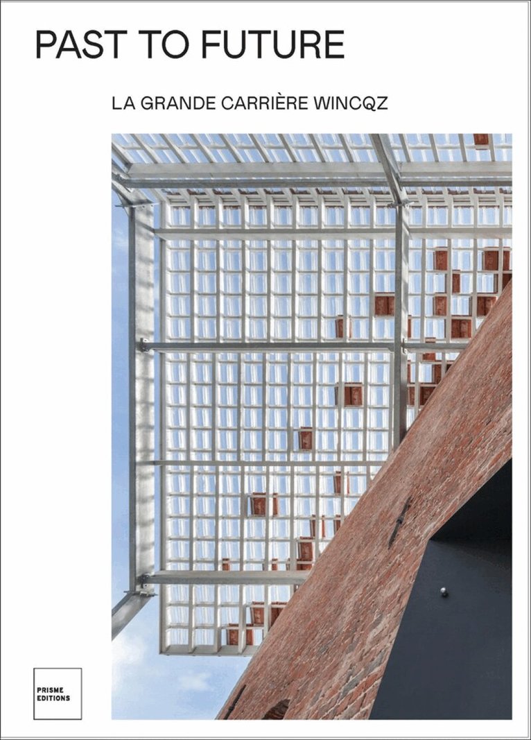 Patrick Bribosia, Isabelle Toussaint, Matteo Robiglio ‐ Architects - Past to Future, Häftad