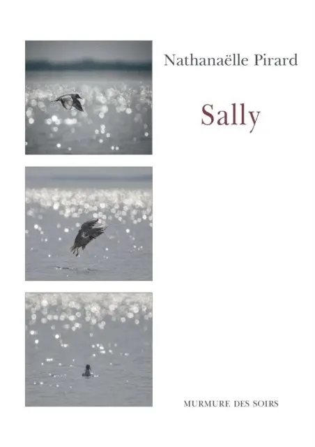 Nathanaelle Pirard - Sally, E-bok. Tillgänglighet: Lägg i varukorg