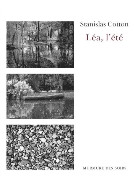 Stanislas Cotton - Léa, l'été, E-bok