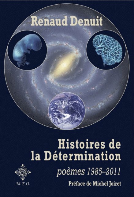 Renaud Denuit - Histoires de la Détermination, E-bok