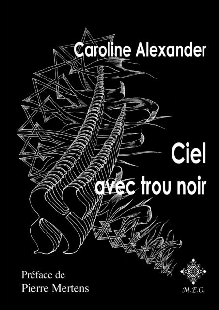 Caroline Alexander - Ciel avec trou noir, E-bok