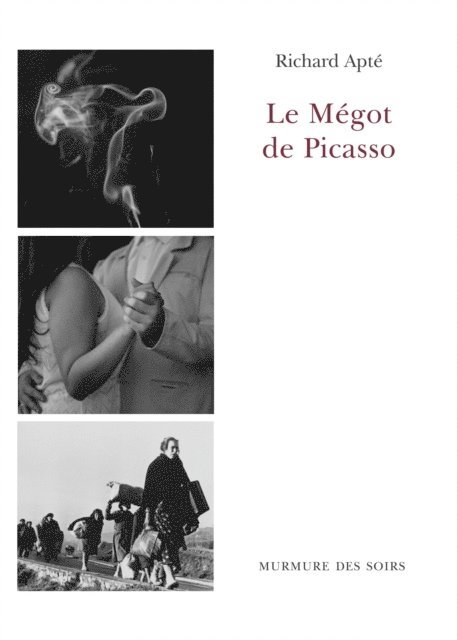 Richard Apte - Le Mégot de Picasso, E-bok