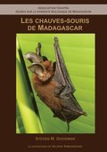 Les ChauvesSouris de Madagascar