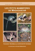 Les Petits Mammifres de Madagascar