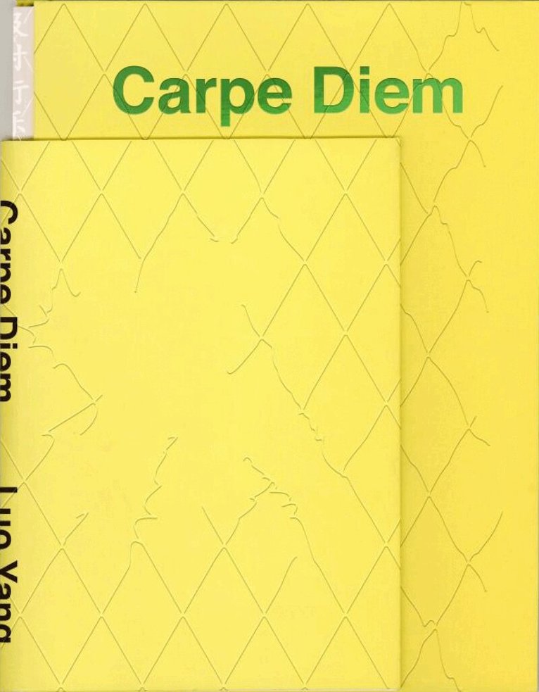 Luo Yang - Carpe Diem, Häftad
