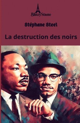 Stéphane Steel - destruction des noirs, Häftad