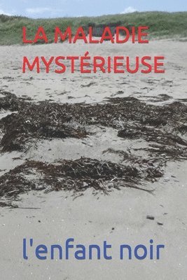 L'Enfant Noir - Maladie Mystérieuse, Häftad