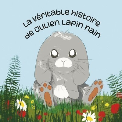 Barbara Menke - véritable histoire de Julien lapin nain, Häftad