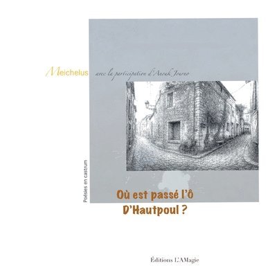 Anouk Journo, Michel Foucher, Éditions L'Amagie - Où es passé l'Ô d'Hautpoul ?, Häftad
