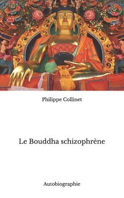 Philippe Collinet - Bouddha schizophrène, Häftad. Tillgänglighet: Lägg i varukorg