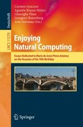 Enjoying Natural Computing
