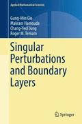 Singular Perturbations and Boundary Layers