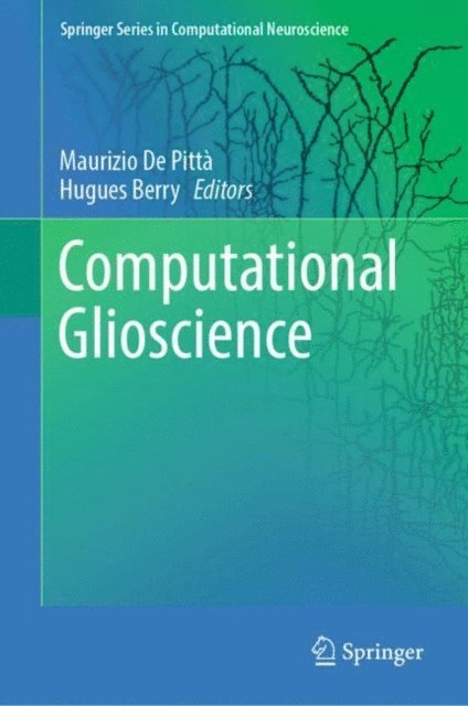 Hugues Berry, Maurizio De Pitta - Computational Glioscience, E-bok