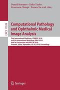 Computational Pathology and Ophthalmic Medical Image Analysis