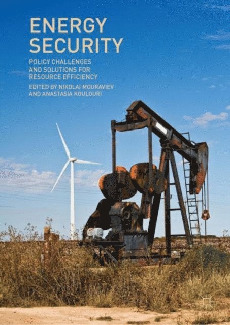 Anastasia Koulouri, Nikolai Mouraviev - Energy Security, E-bok