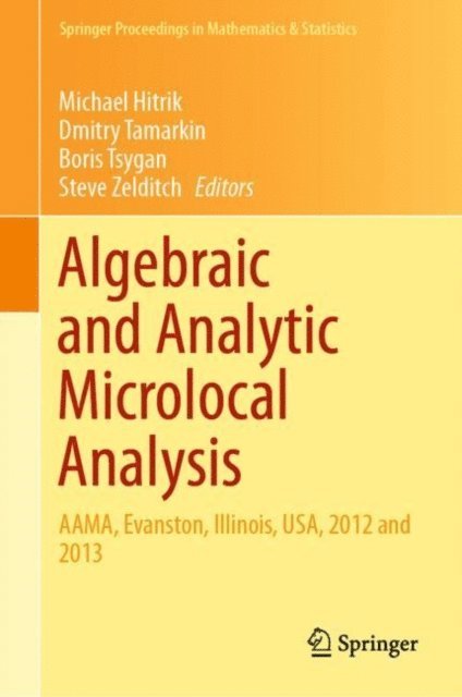 Steve Zelditch, Boris Tsygan, Dmitry Tamarkin, Michael Hitrik - Algebraic and Analytic Microlocal Analysis, E-bok