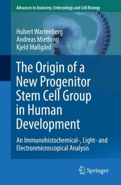 Kjeld Mollgard, Andreas Miething, Hubert Wartenberg - Origin of a New Progenitor Stem Cell Group in Human Development, E-bok
