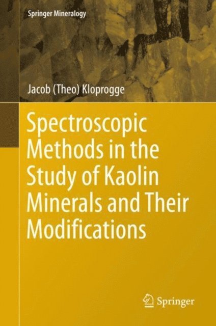 Jacob (Theo) Kloprogge - Spectroscopic Methods in the Study of Kaolin Minerals and Their Modifications, E-bok