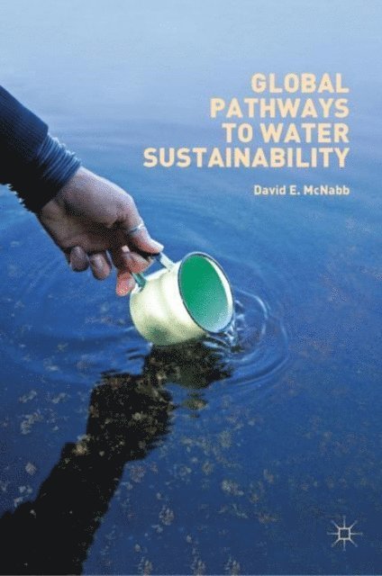 David E. McNabb - Global Pathways to Water Sustainability, E-bok