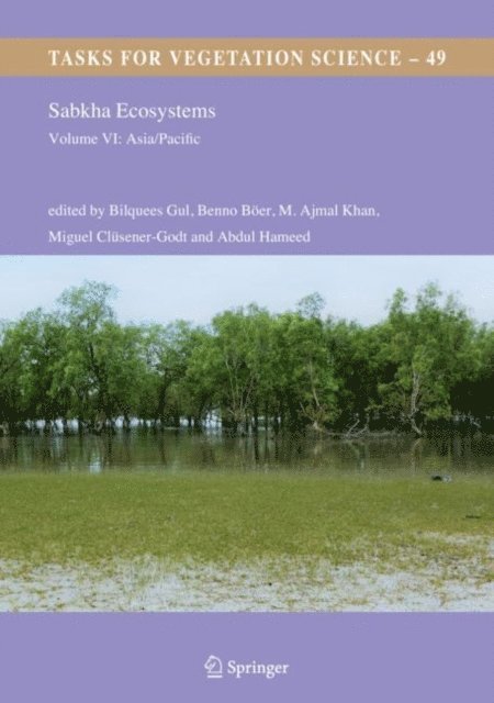 Abdul Hameed, Miguel Clusener-Godt, M. Ajmal Khan, Benno Boer, Bilquees Gul - Sabkha Ecosystems, E-bok