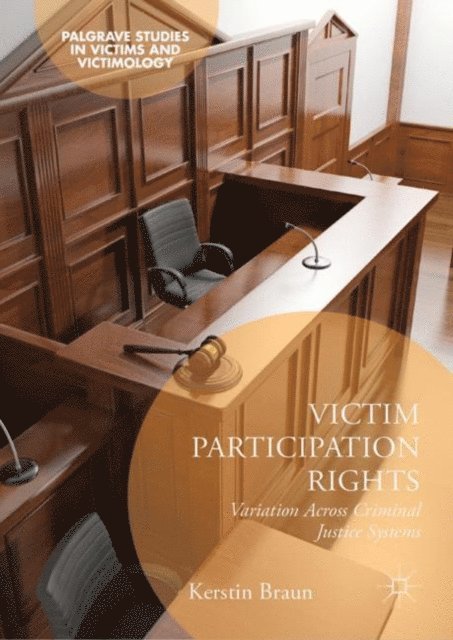 Kerstin Braun - Victim Participation Rights, E-bok