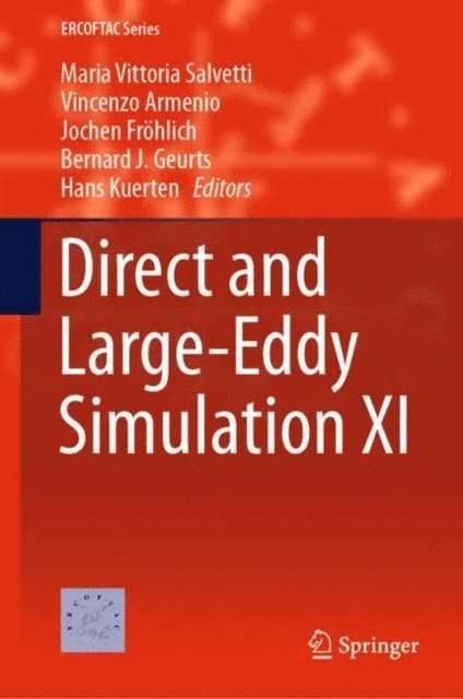 Hans Kuerten, Bernard J. Geurts, Jochen Frohlich, Vincenzo Armenio, Maria Vittoria Salvetti - Direct and Large-Eddy Simulation XI, E-bok