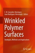 Wrinkled Polymer Surfaces