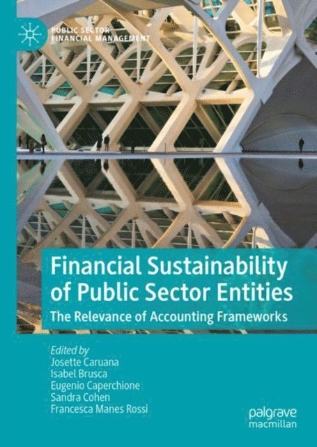 Francesca Manes Rossi, Sandra Cohen, Eugenio Caperchione, Isabel Brusca, Josette Caruana - Financial Sustainability of Public Sector Entities, E-bok