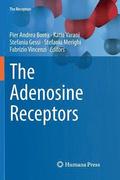 The Adenosine Receptors