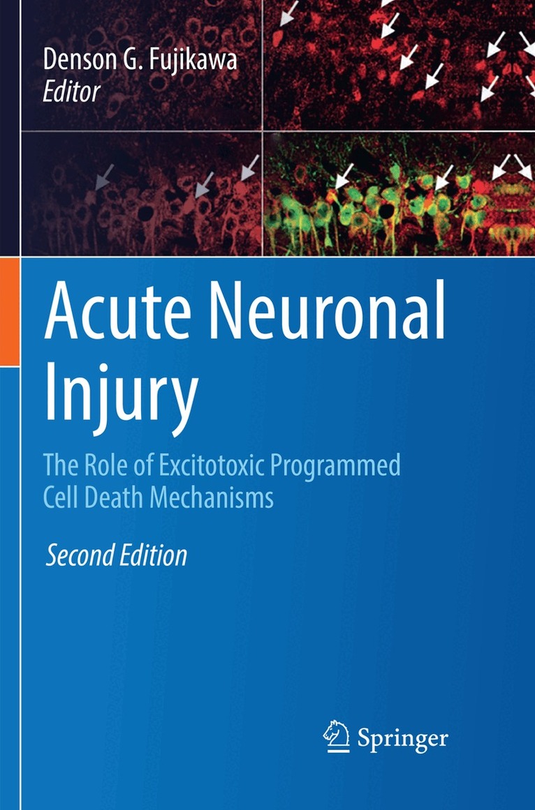 Denson G. Fujikawa - Acute Neuronal Injury, Häftad