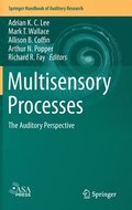 Multisensory Processes