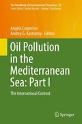 Oil Pollution in the Mediterranean Sea: Part I