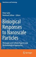 Biological Responses to Nanoscale Particles