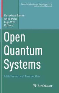 Open Quantum Systems