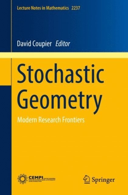 David Coupier - Stochastic Geometry, E-bok