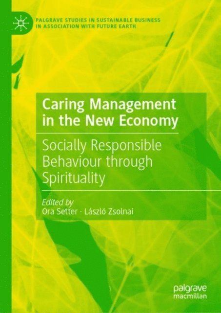 Laszlo Zsolnai, Ora Setter - Caring Management in the New Economy, E-bok