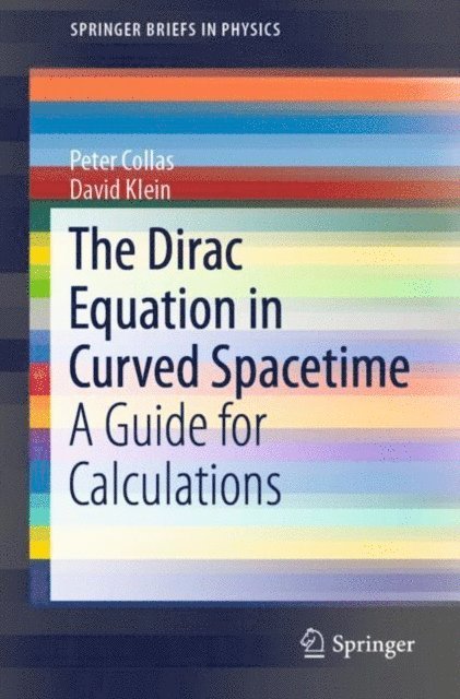 David Klein, Peter Collas - Dirac Equation in Curved Spacetime, E-bok